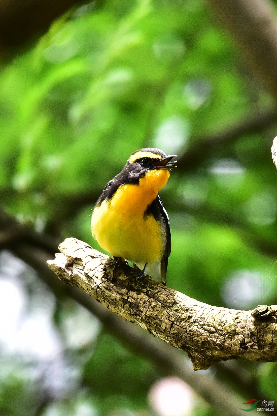 DSC_0695.JPG
