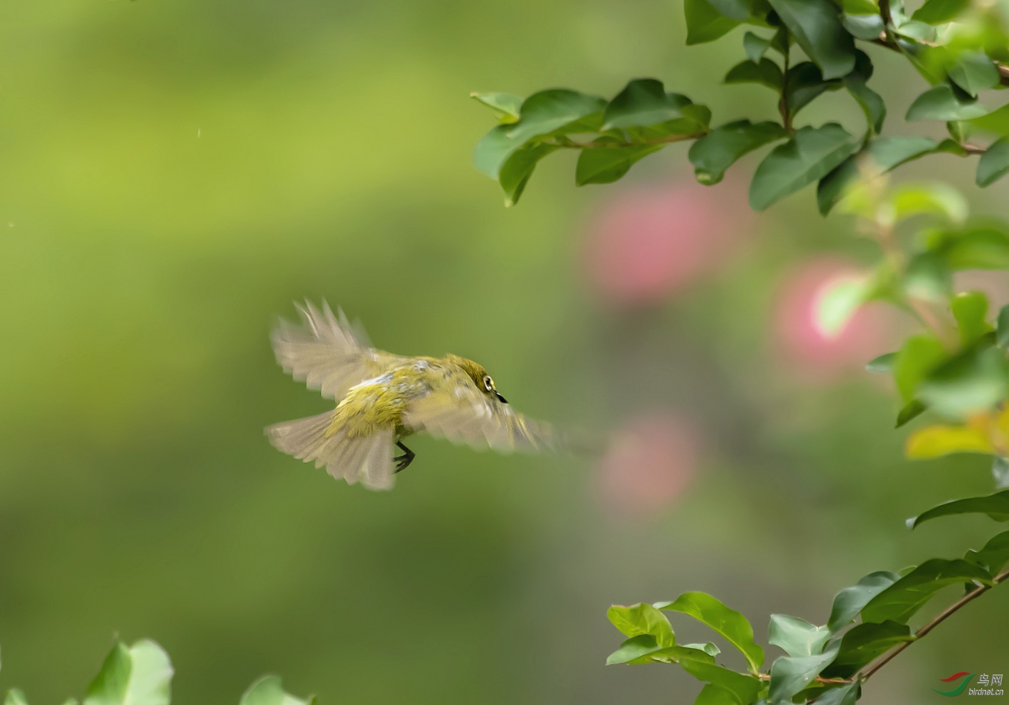 DSC_0803_����.jpg