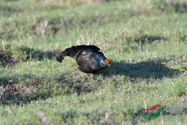 DSC_2449.jpg