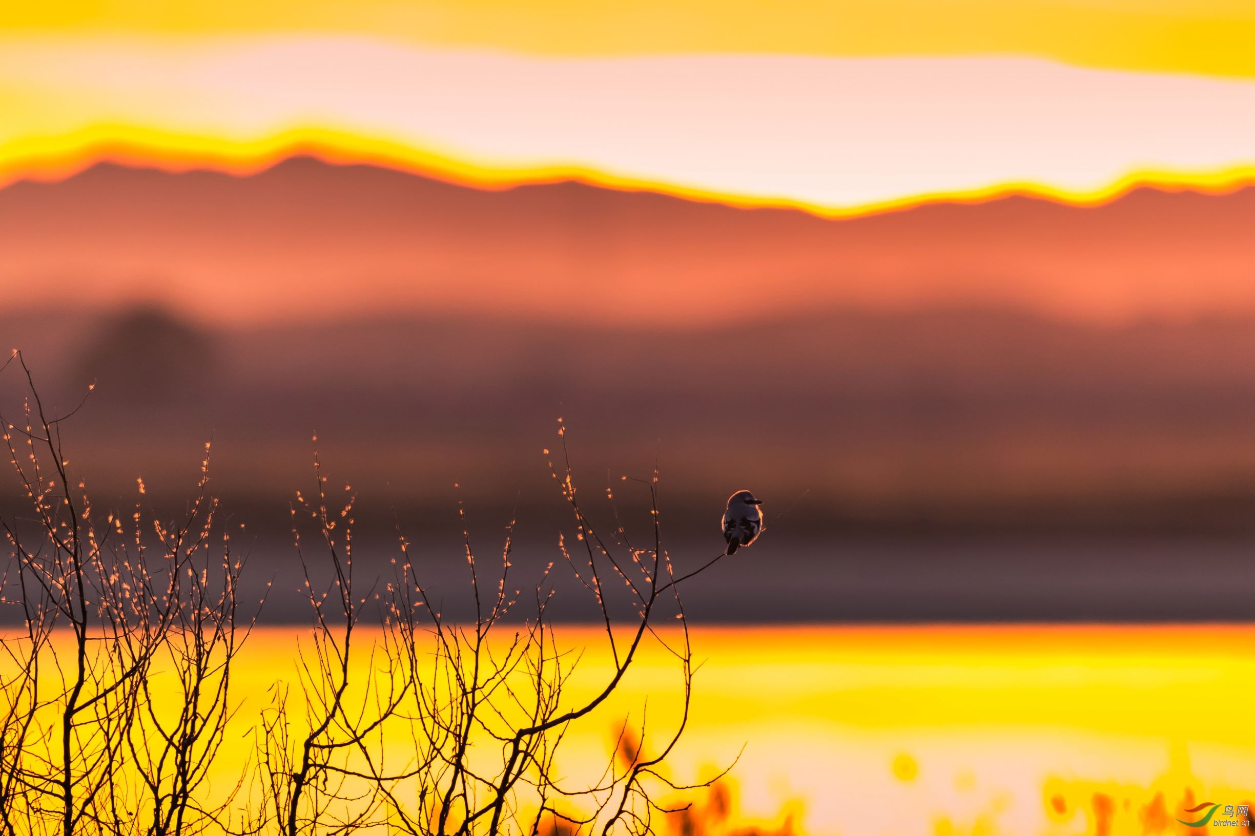 AC9I8887_����.jpg