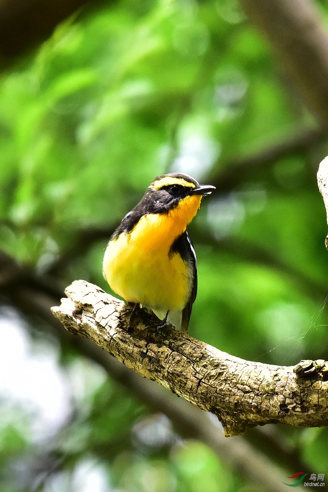 DSC_0697.JPG