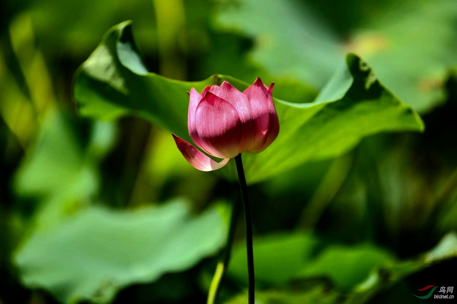 14AAD2CB-2403-468E-A5D2-96A83A1EA56B.jpeg