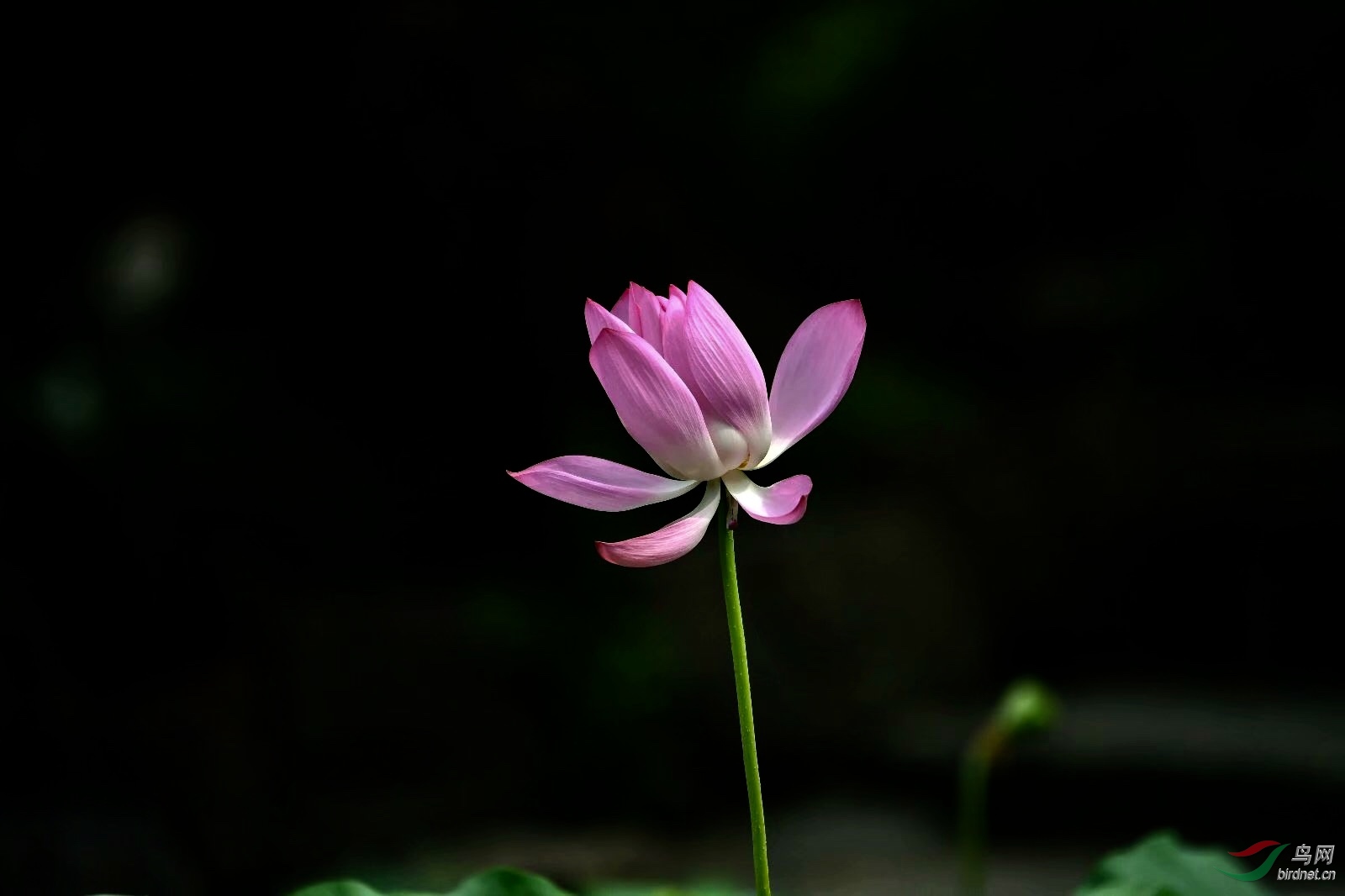 E7C27ABE-CE74-4E9B-9852-901DE40BF519.jpeg