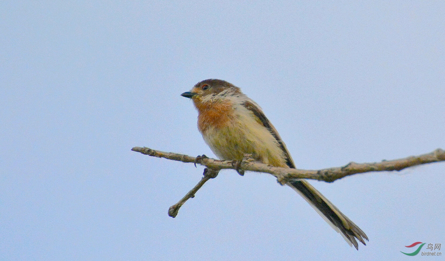 DSC_9203.JPG