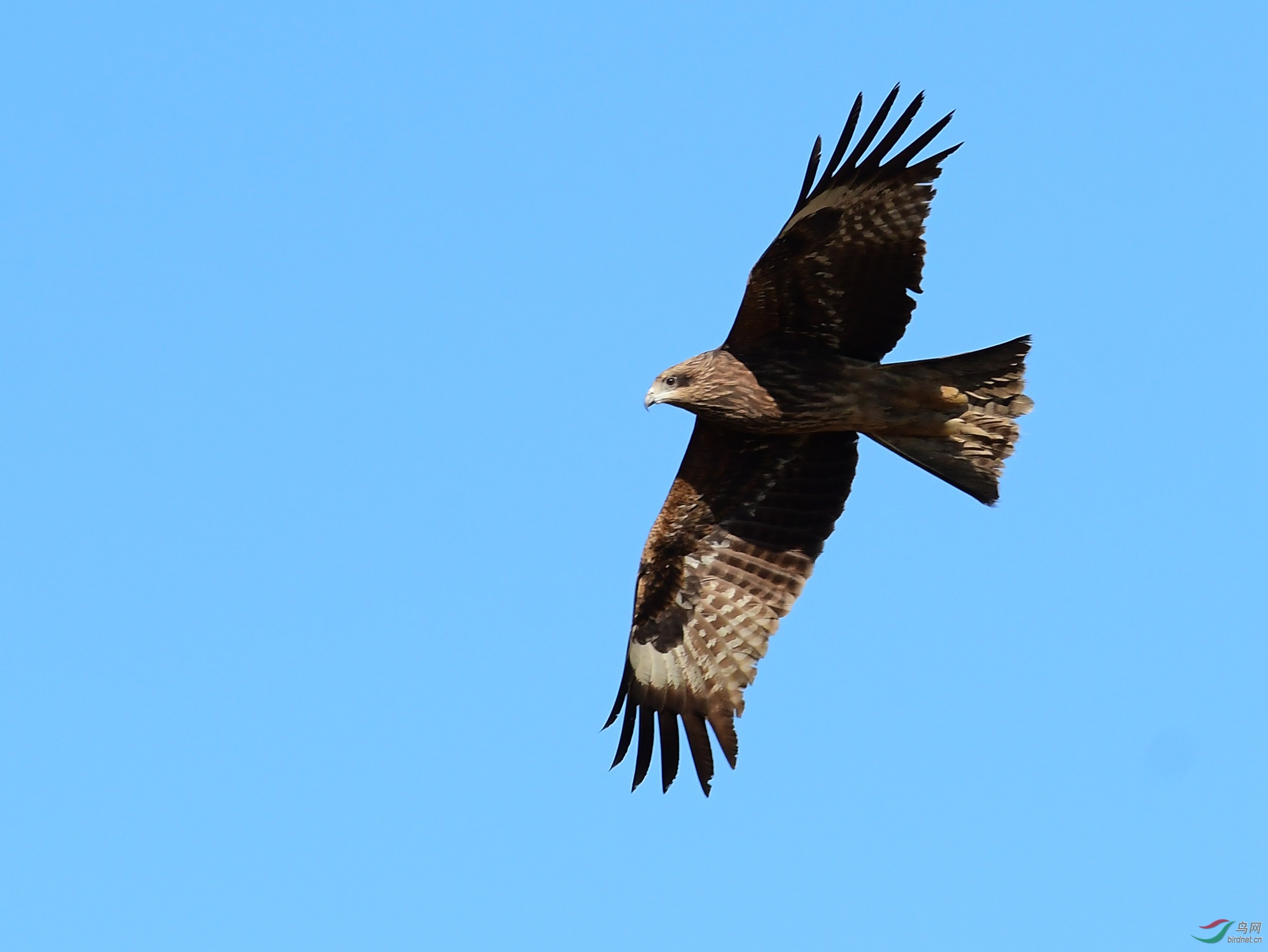 DSC_2581.JPG