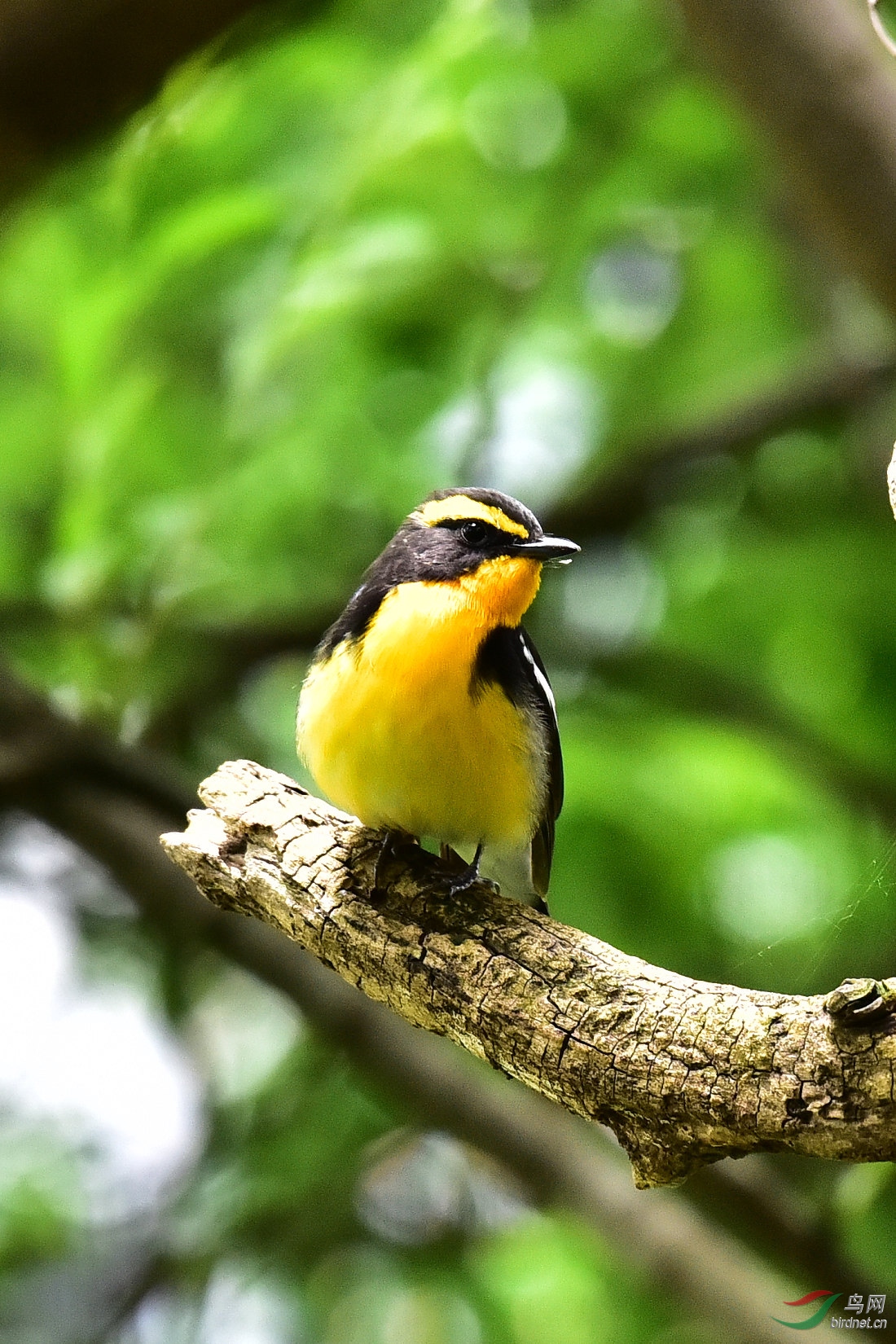 DSC_0704.JPG