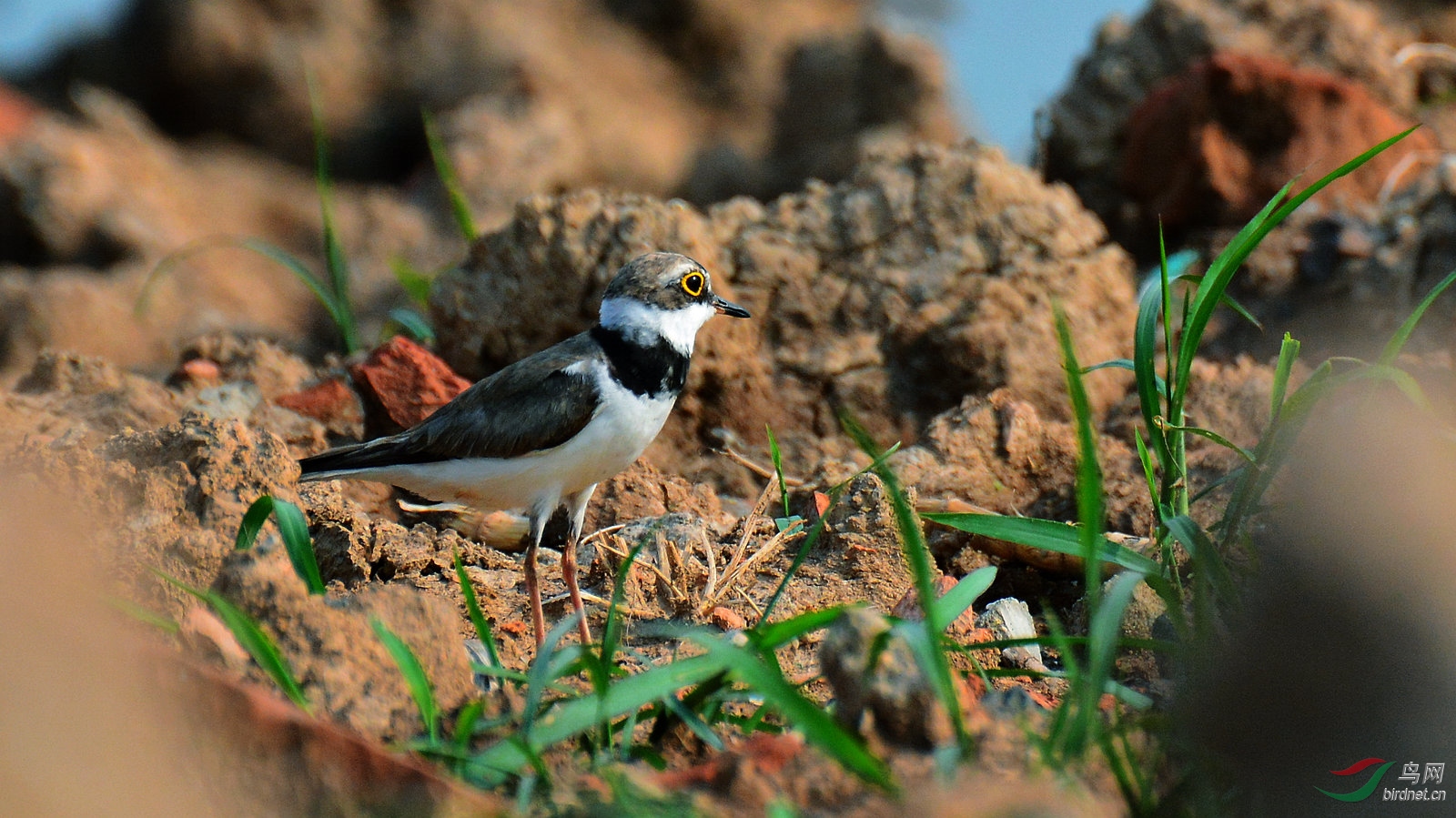 DSC_3622.JPG