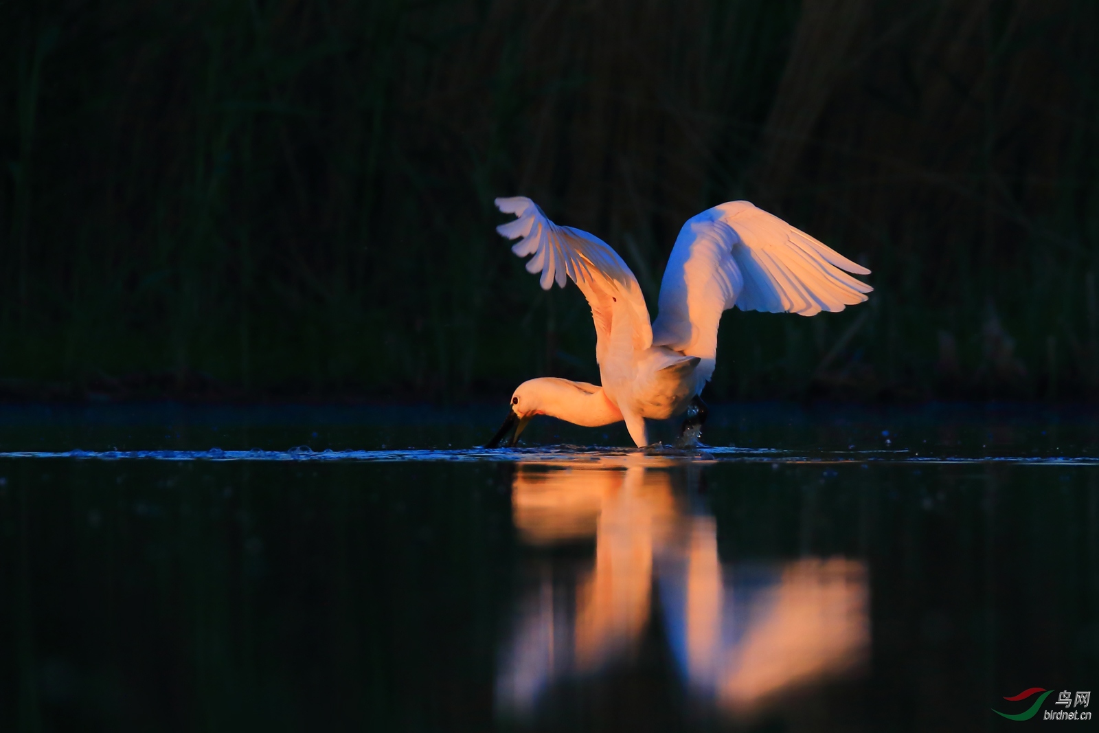 �����еİ�����