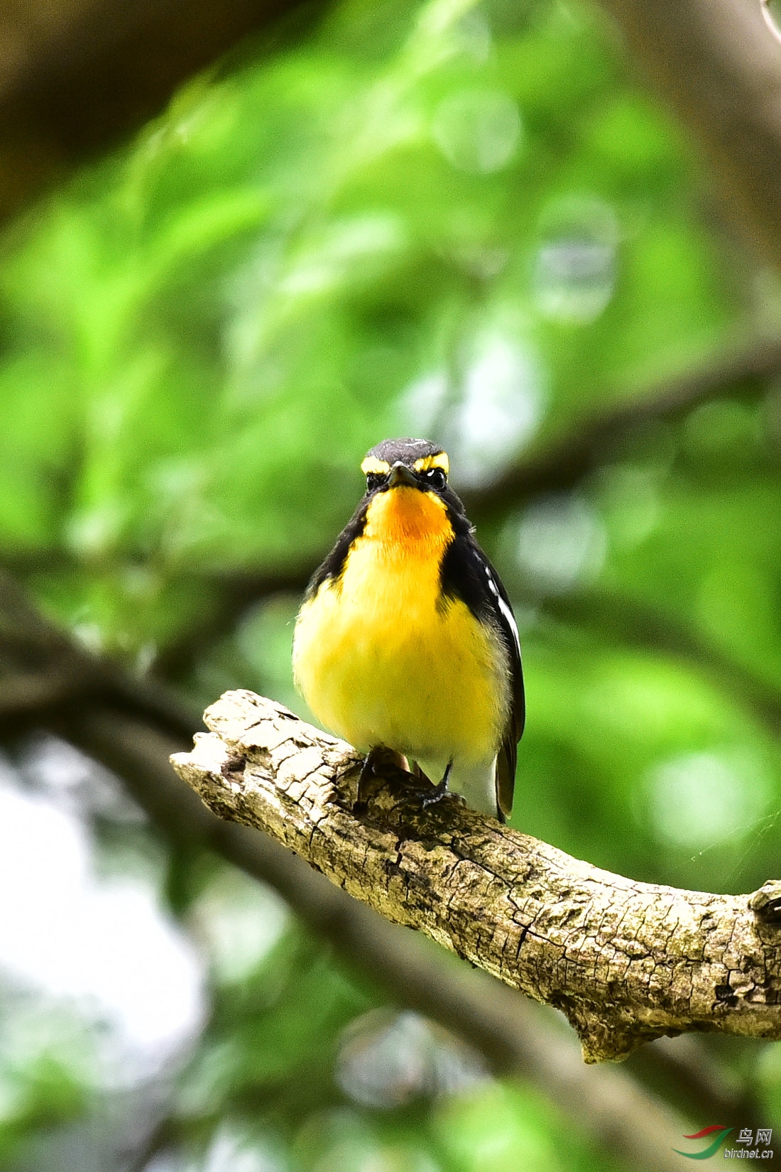 DSC_0707.JPG
