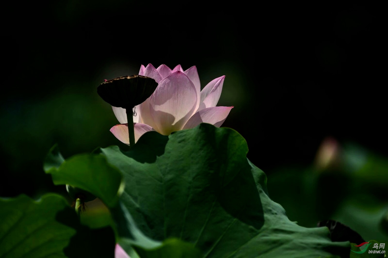 3731E048-5AD4-433C-9442-74BF92C6C3A0.jpeg