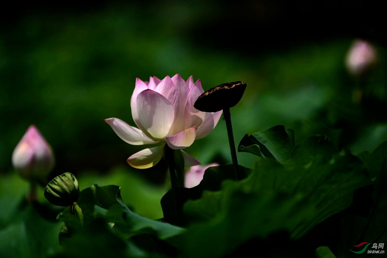 1BFB916F-512C-4C6C-8558-0E7FA8F4E196.jpeg