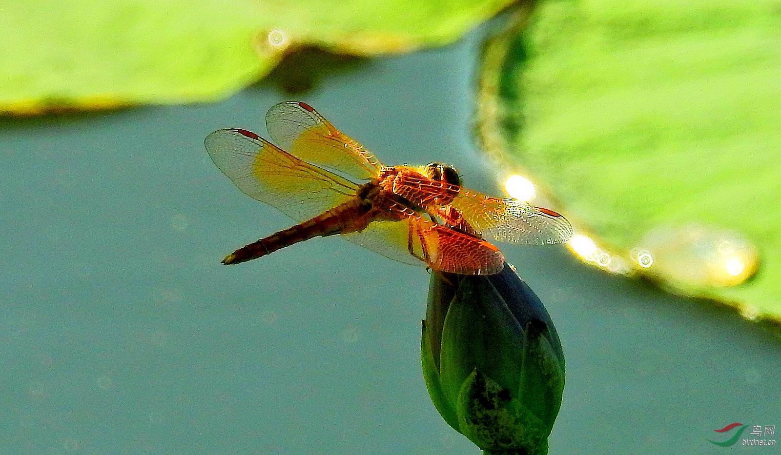 DSCN9237.JPG