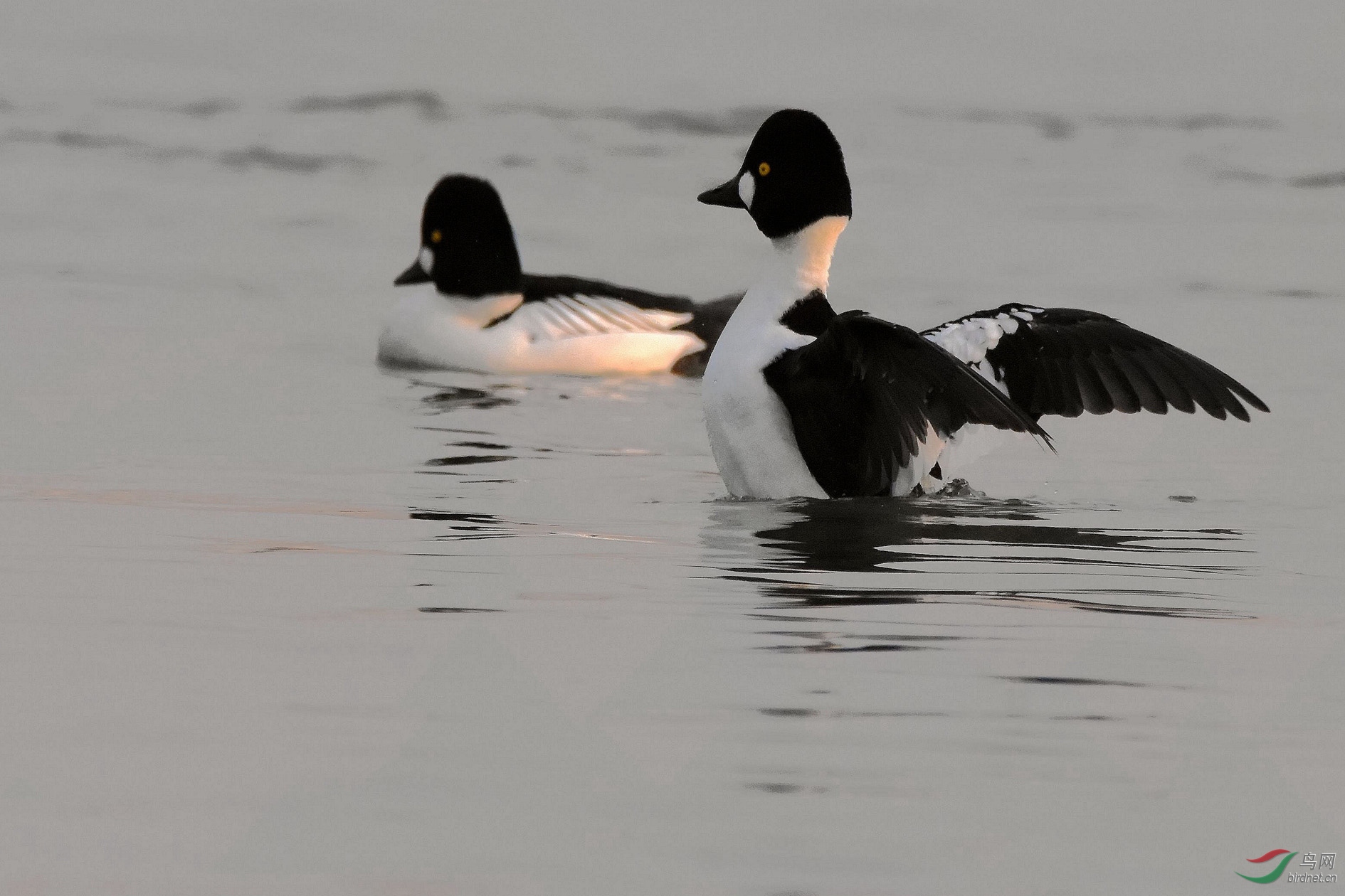 DSC_5866.JPG