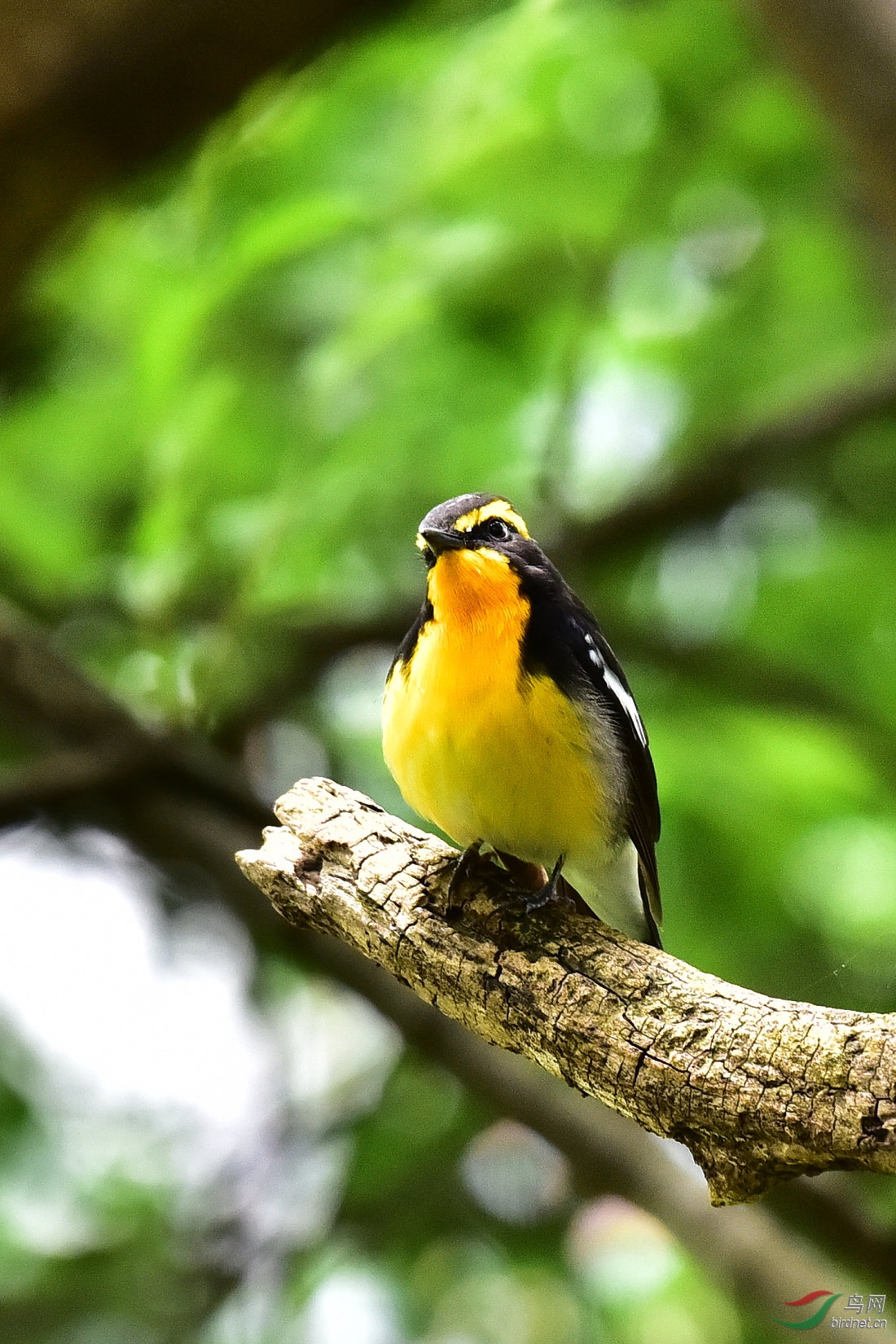 DSC_0713.JPG