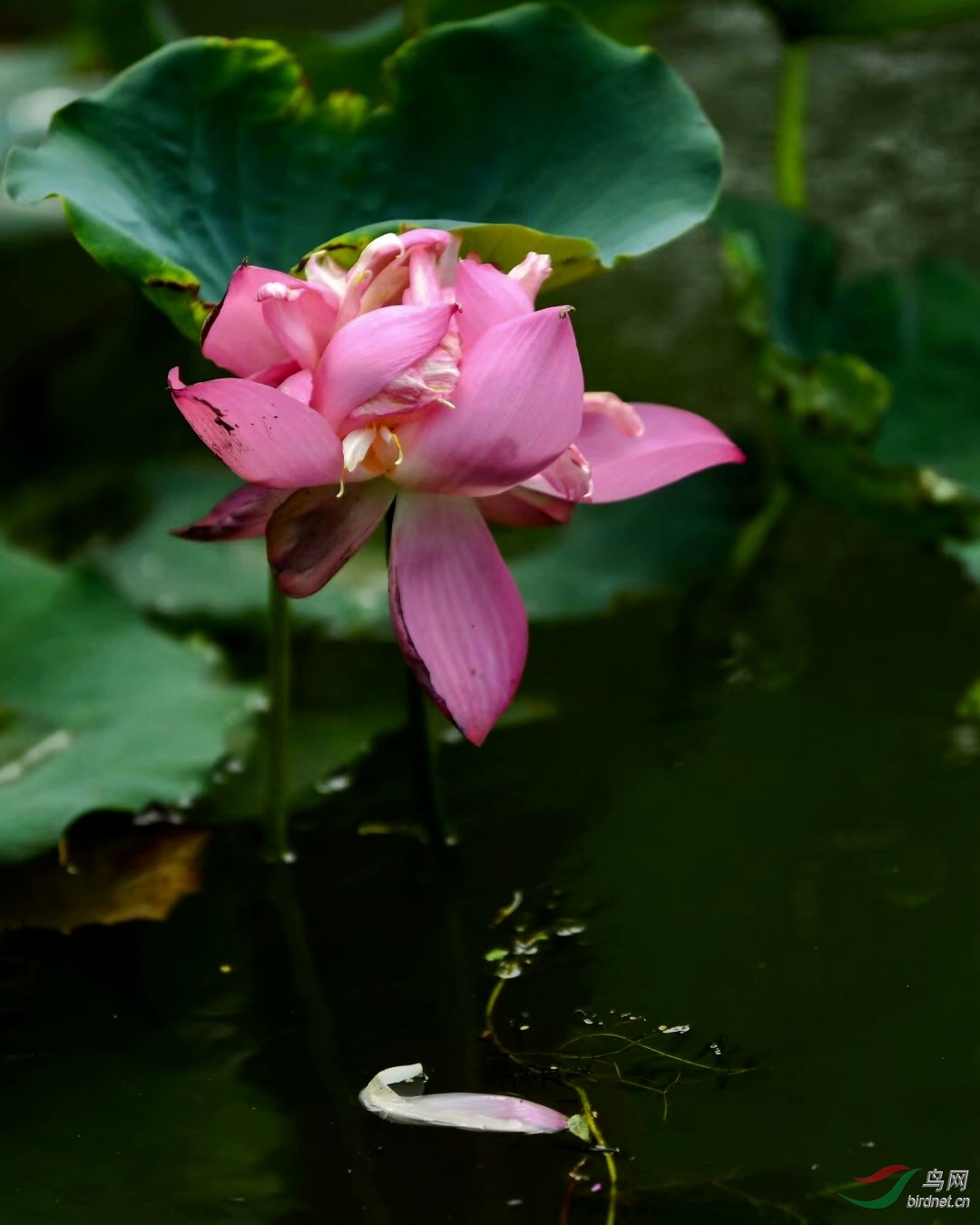 B6707685-DA59-49E0-8901-7465CF74DED9.jpeg
