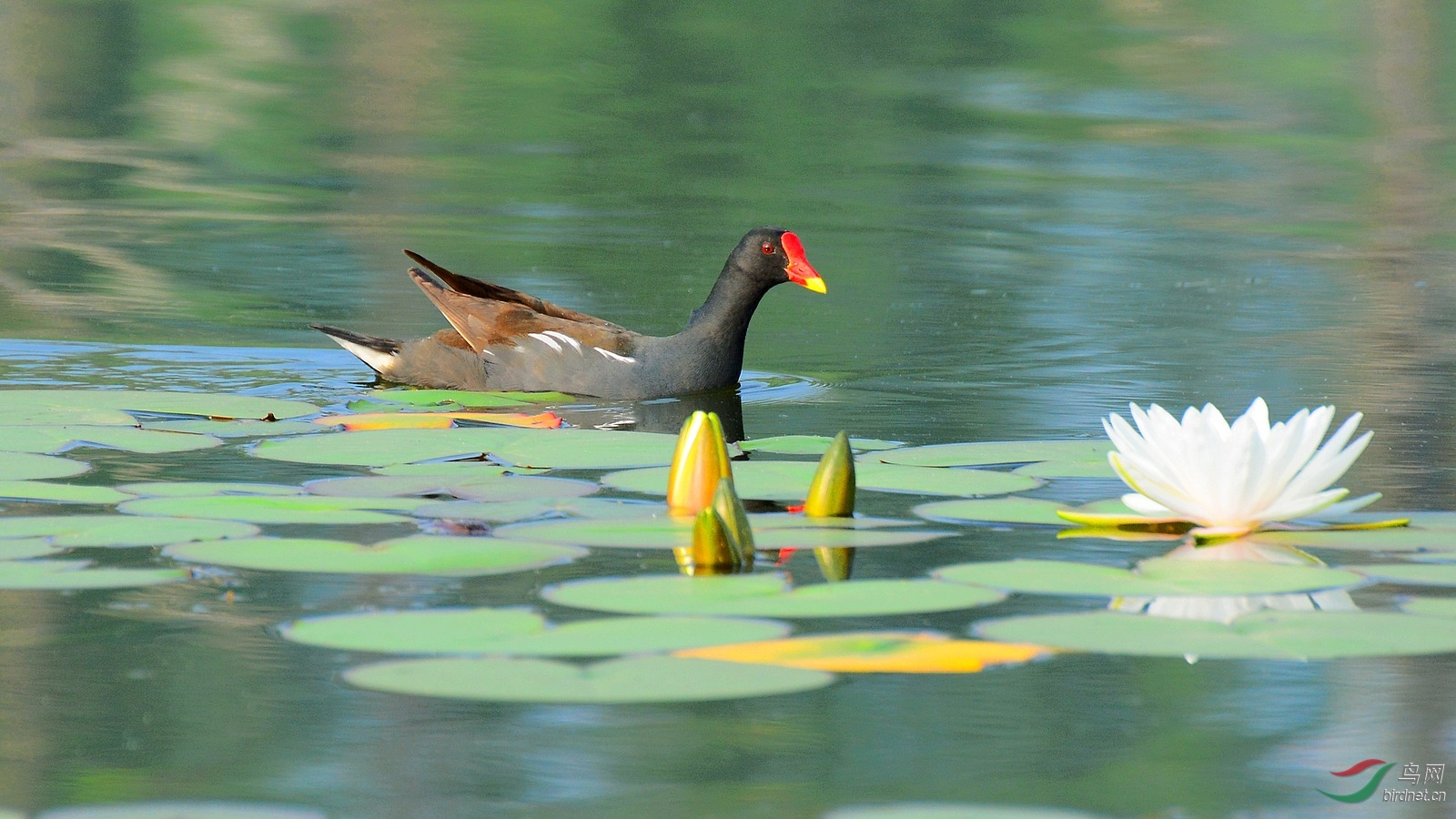 DSC_7396.JPG