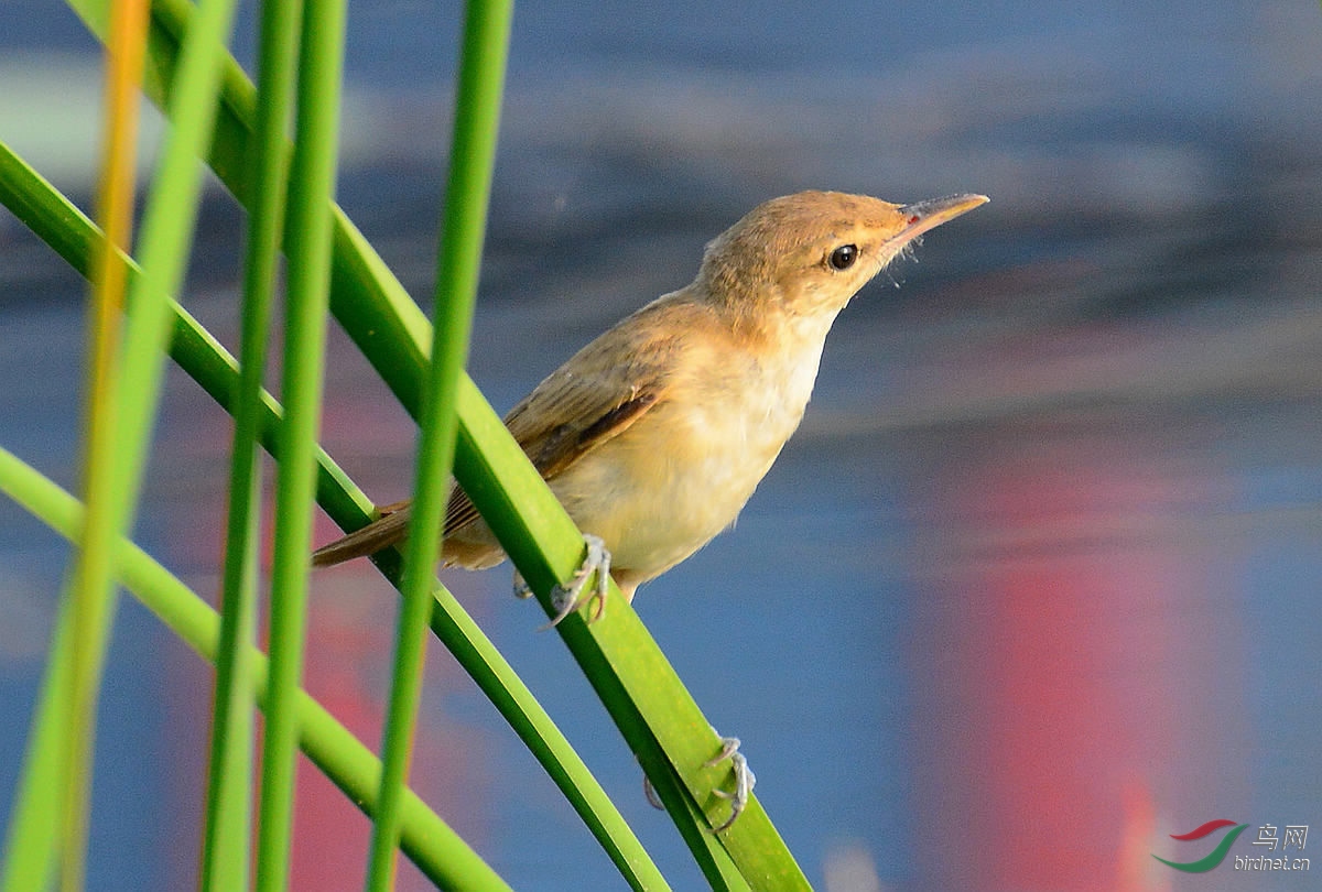 DSC_7381.JPG