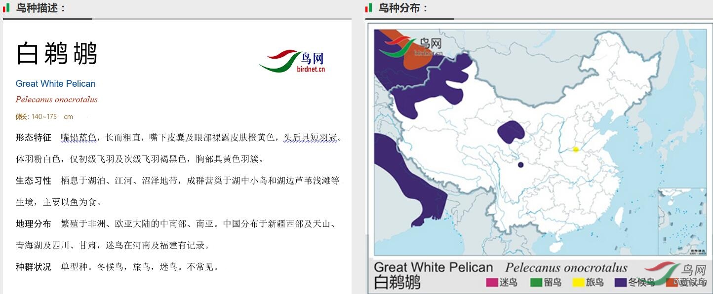 QQ��ͼ20190811221726.jpg