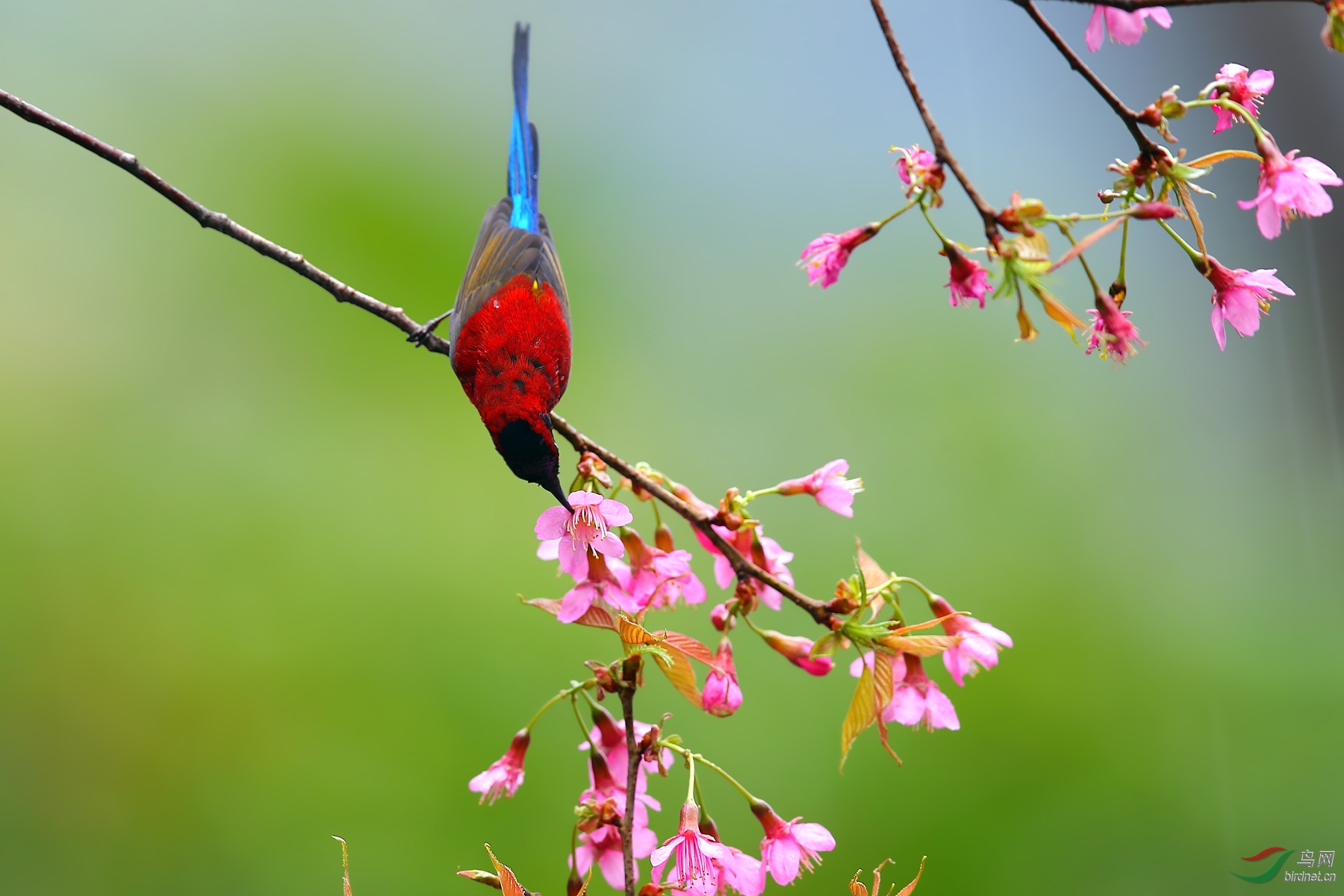 ����̫�������ԣ� (2).jpg