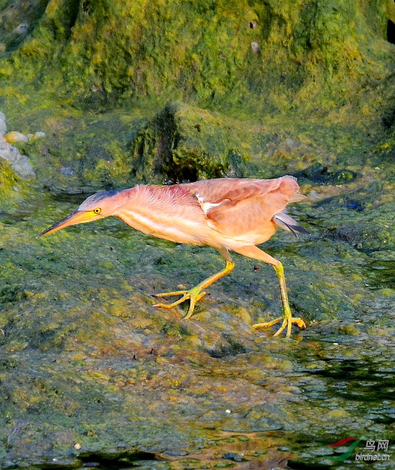 DSC_6374.JPG