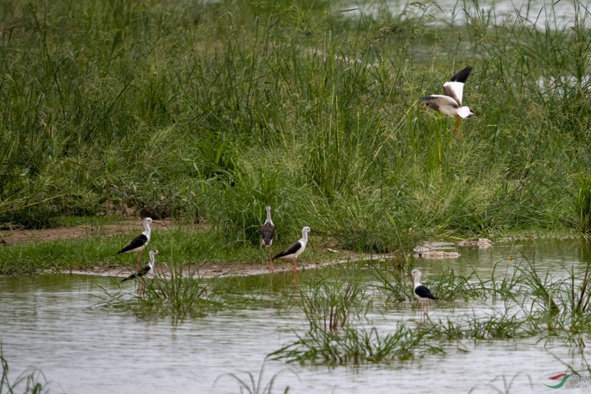 D85_0489.jpg