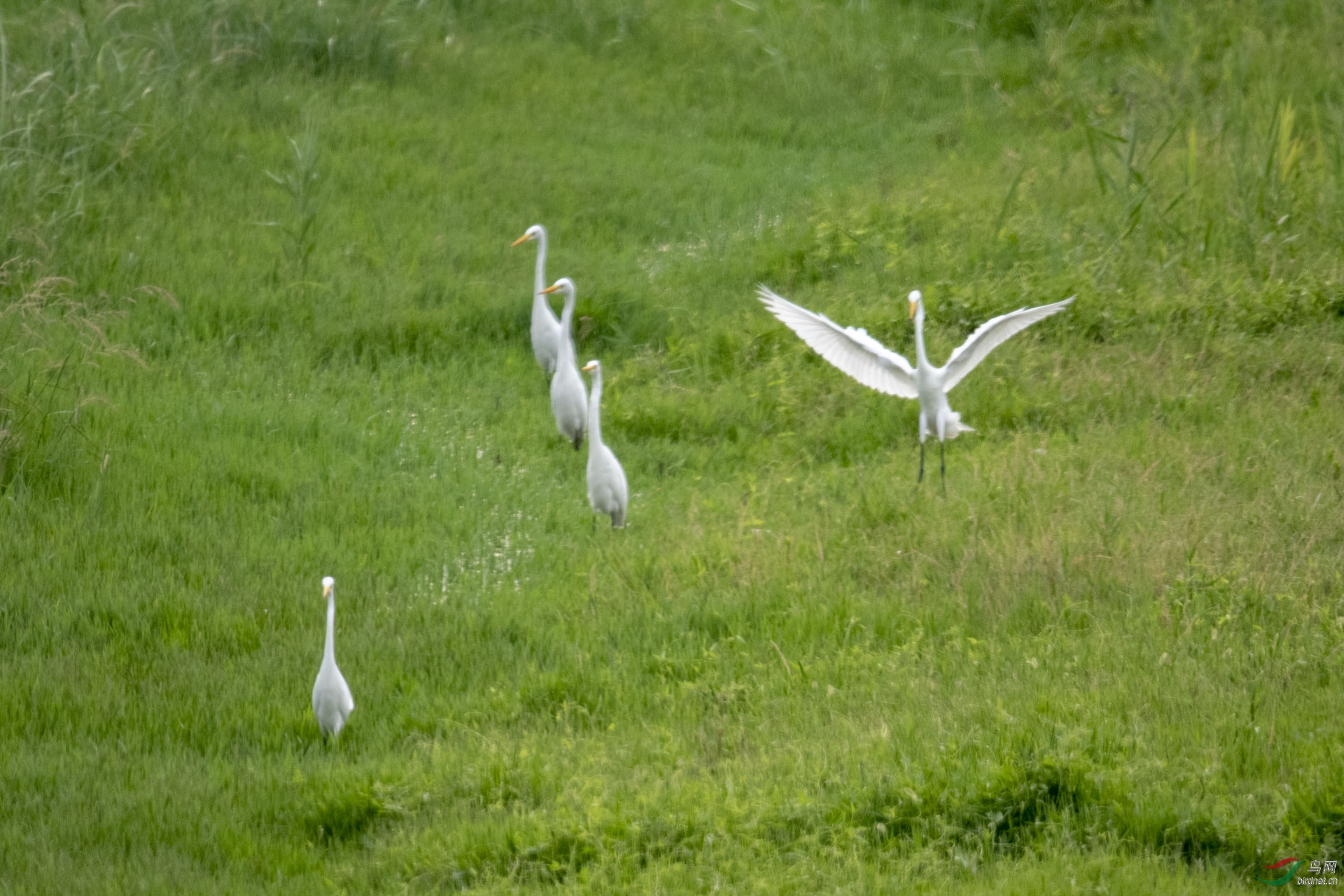 D85_0605.jpg