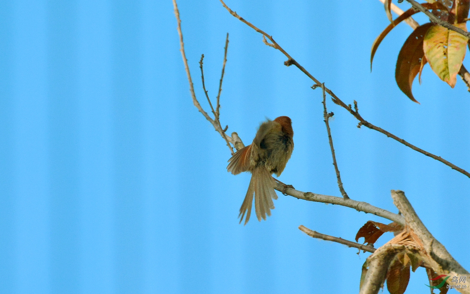 DSC_9587.JPG