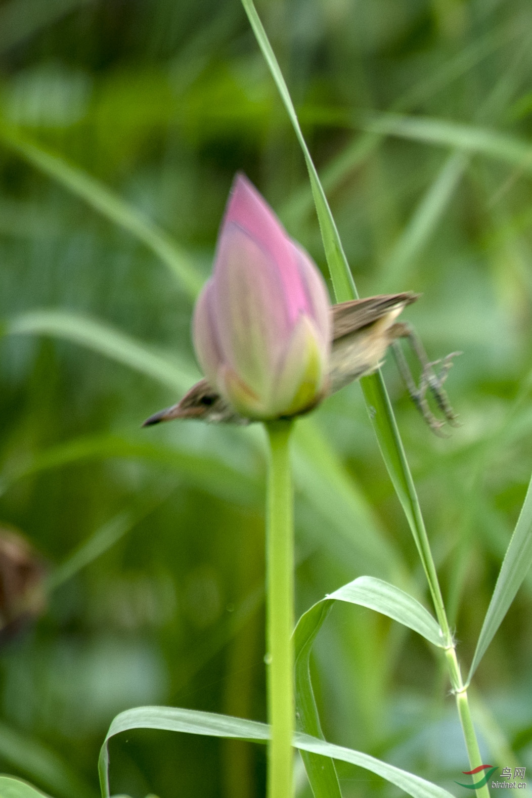 D85_0882.jpg
