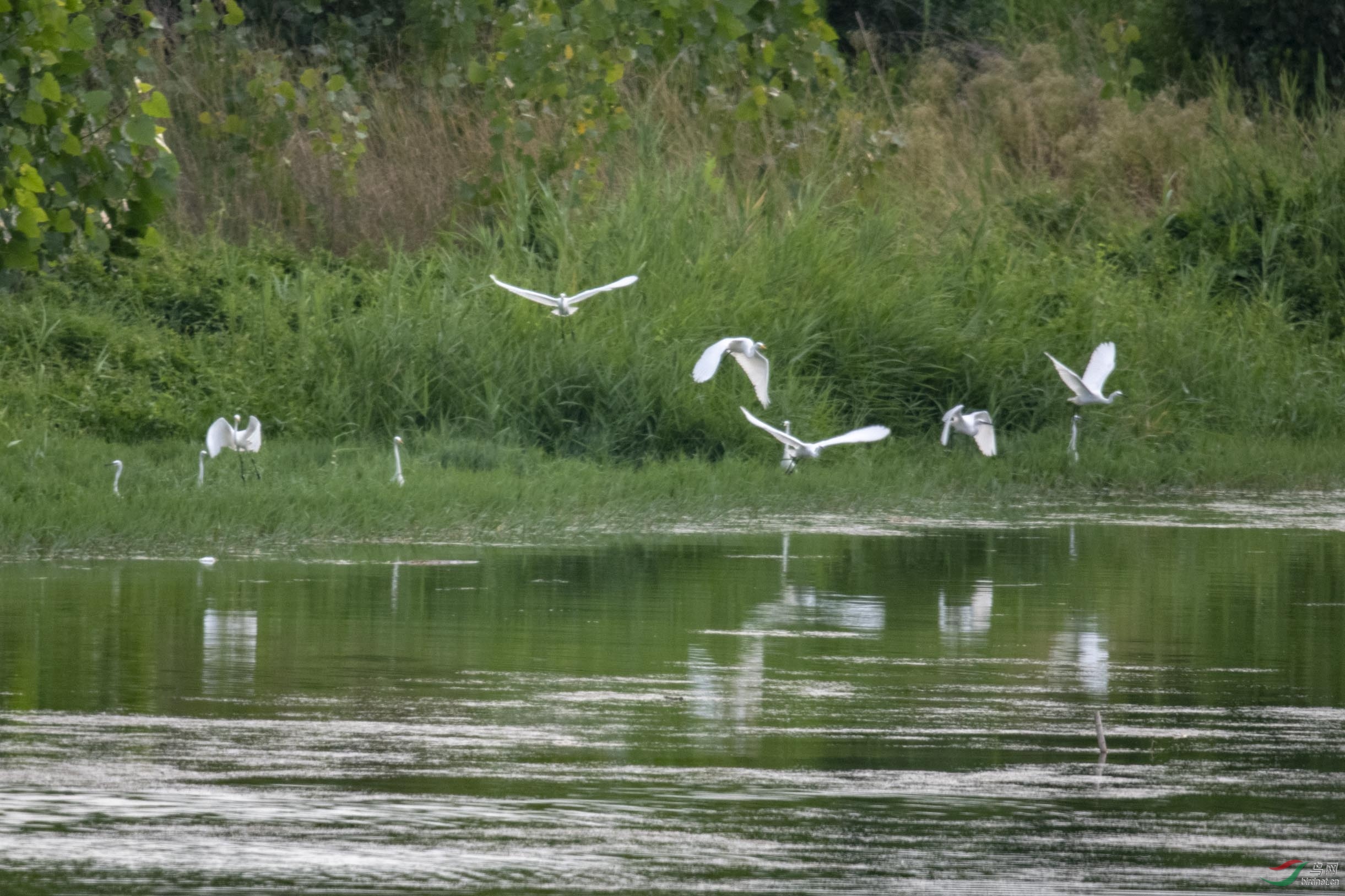 D85_0698.jpg