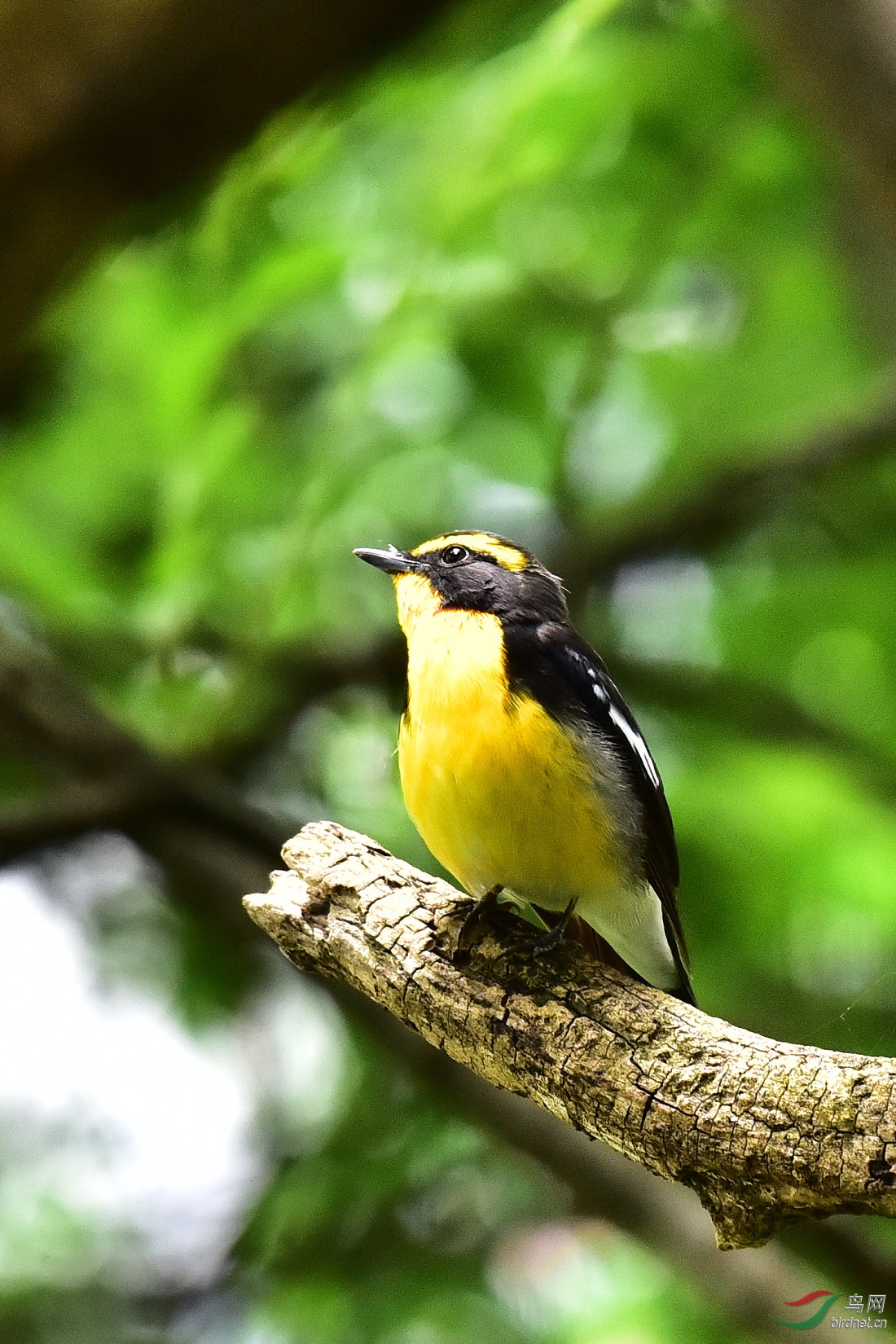 DSC_0720.JPG