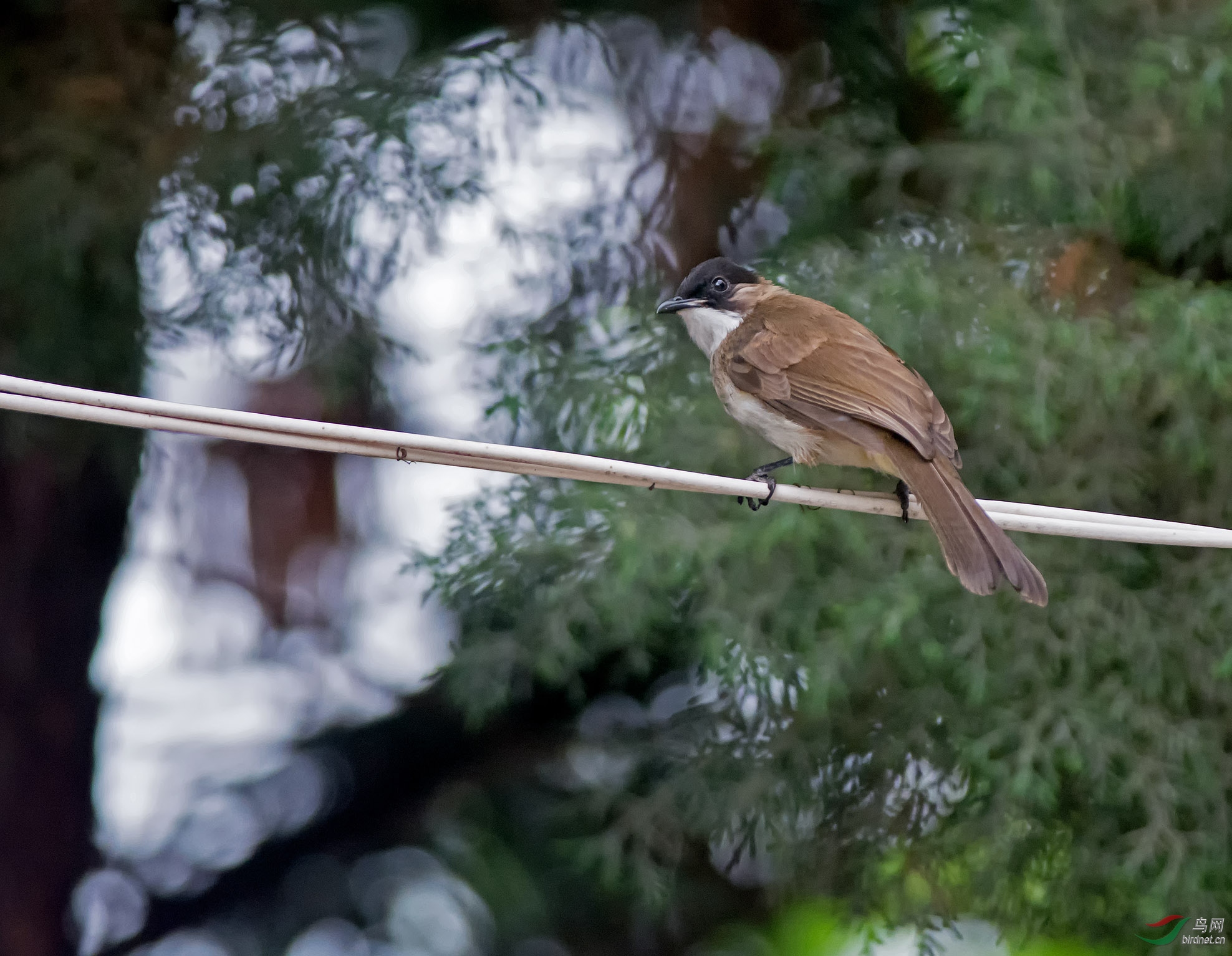 DSC_7057.jpg