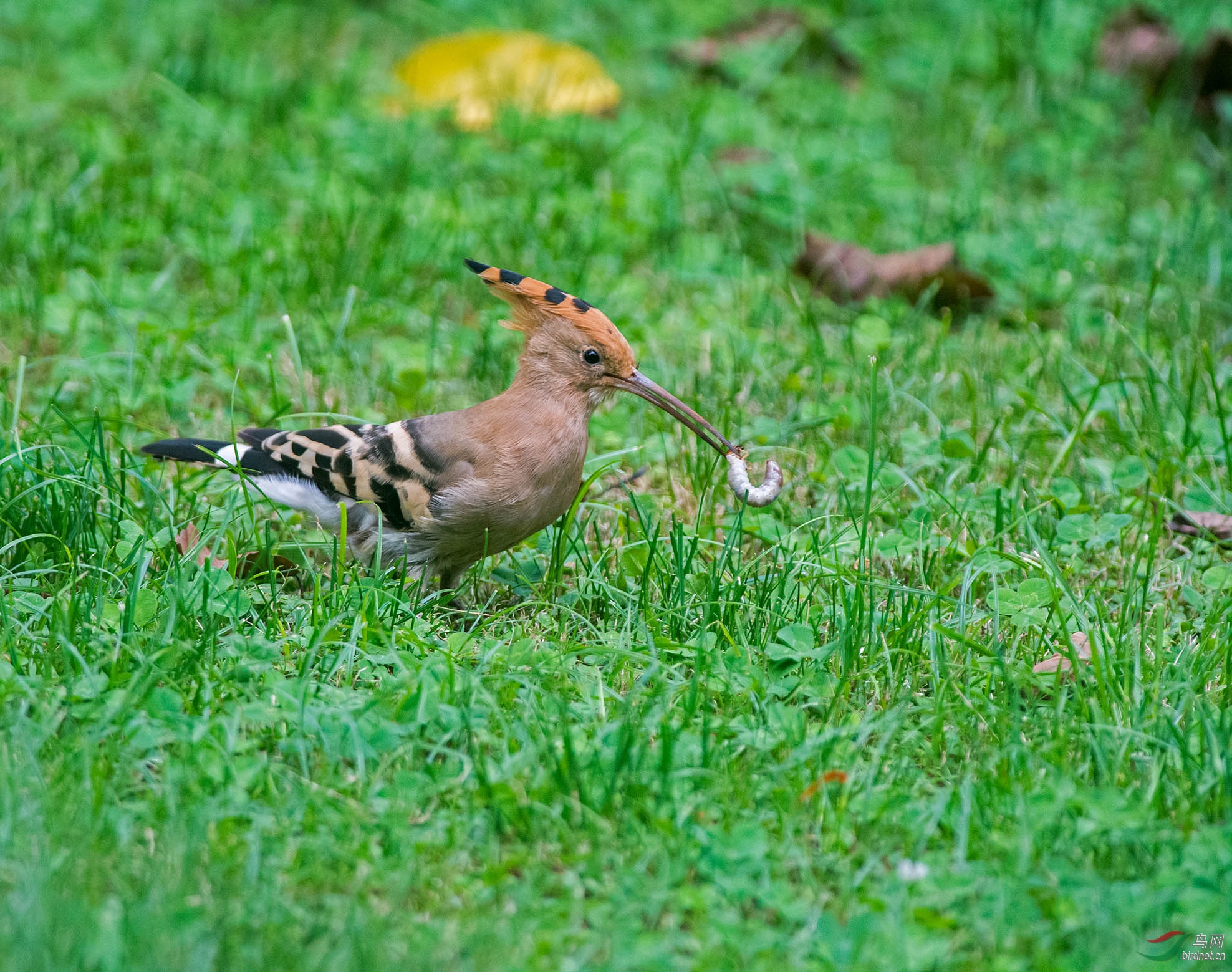 DSC_7427.jpg