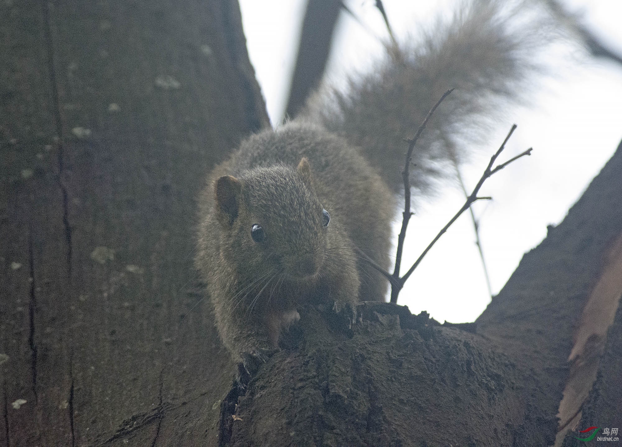 DSC_7074.jpg