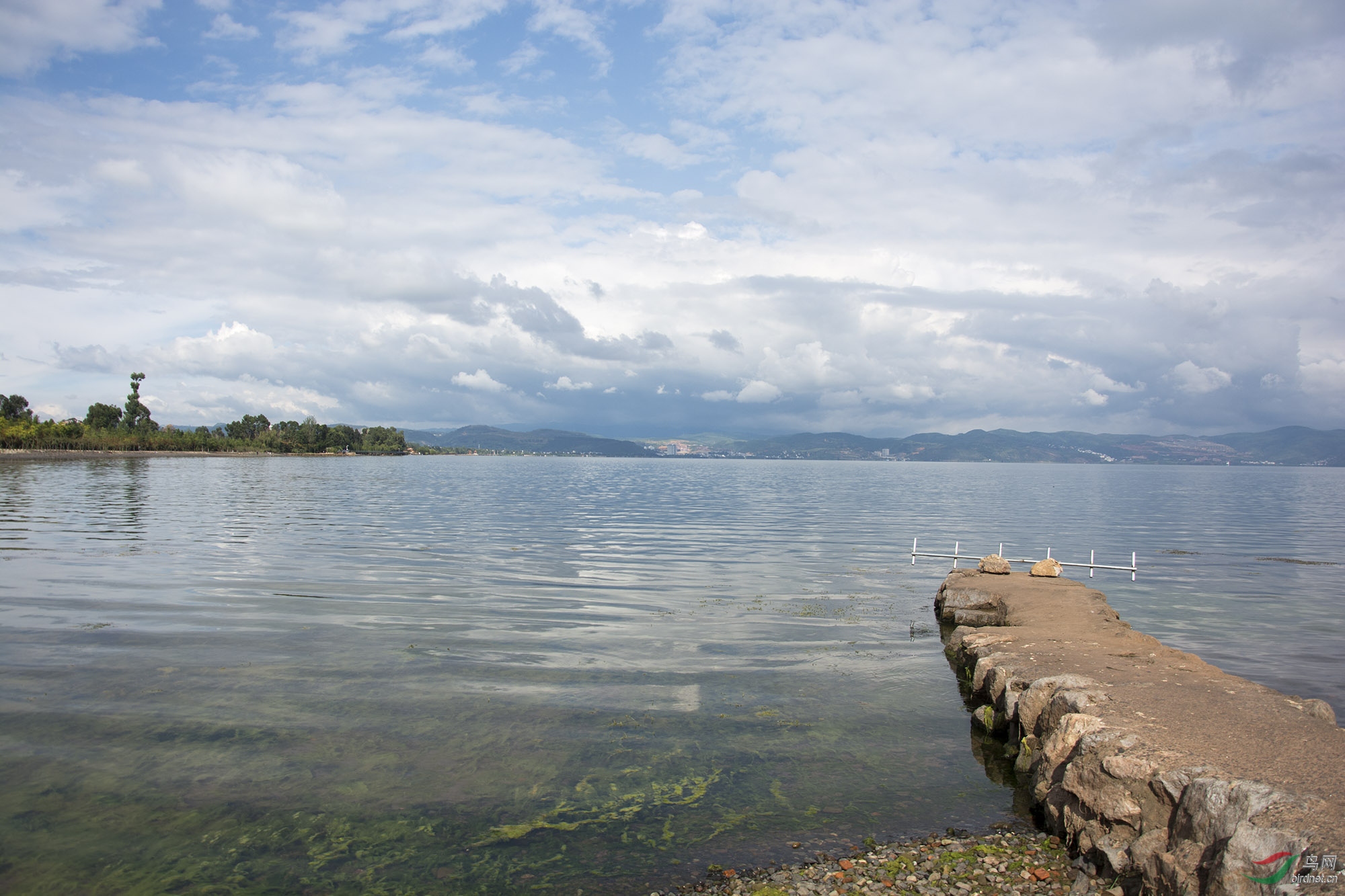 DSC_7245.jpg