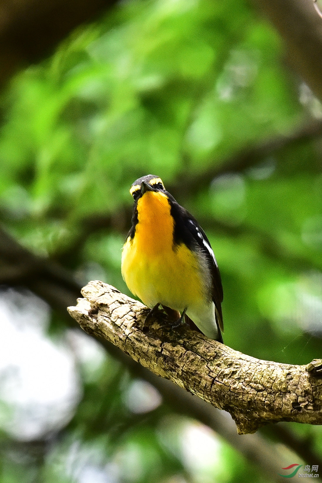 DSC_0721.JPG