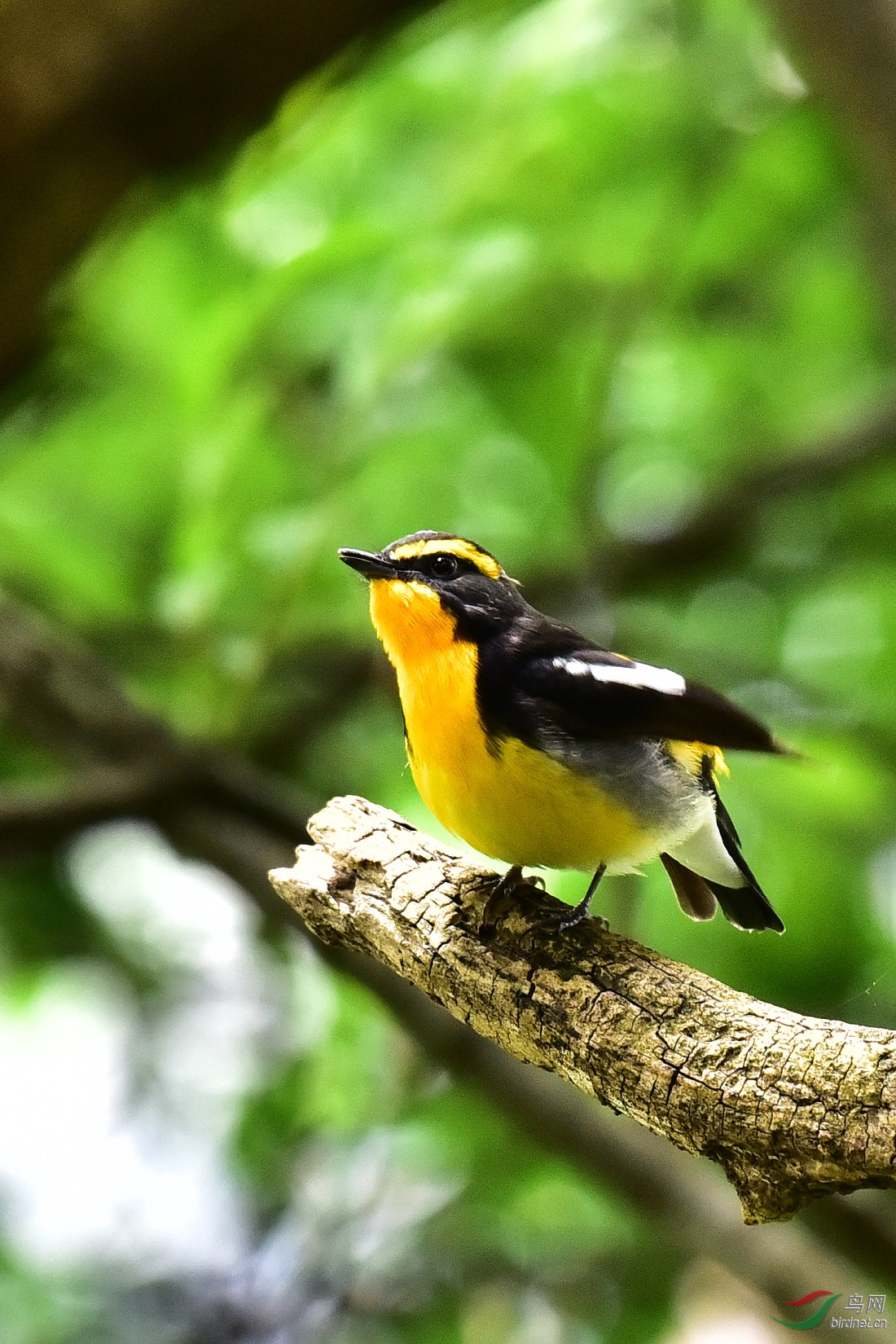 DSC_0722.JPG