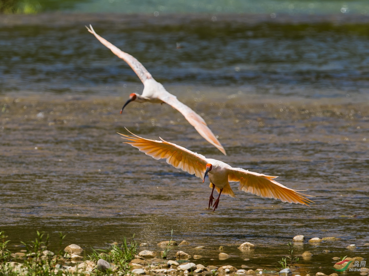 _F4I0082-1_�Ϳ�Ѳ�� �����q �������У�.JPG