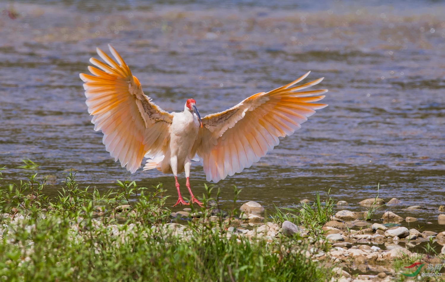 _F4I0235_�������� �����q �������У�.jpg