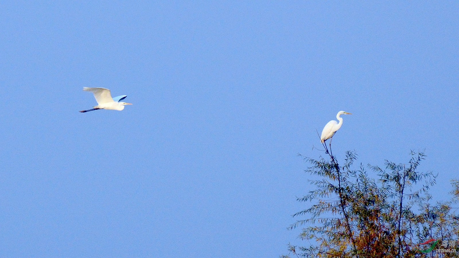 DSC_4740.JPG