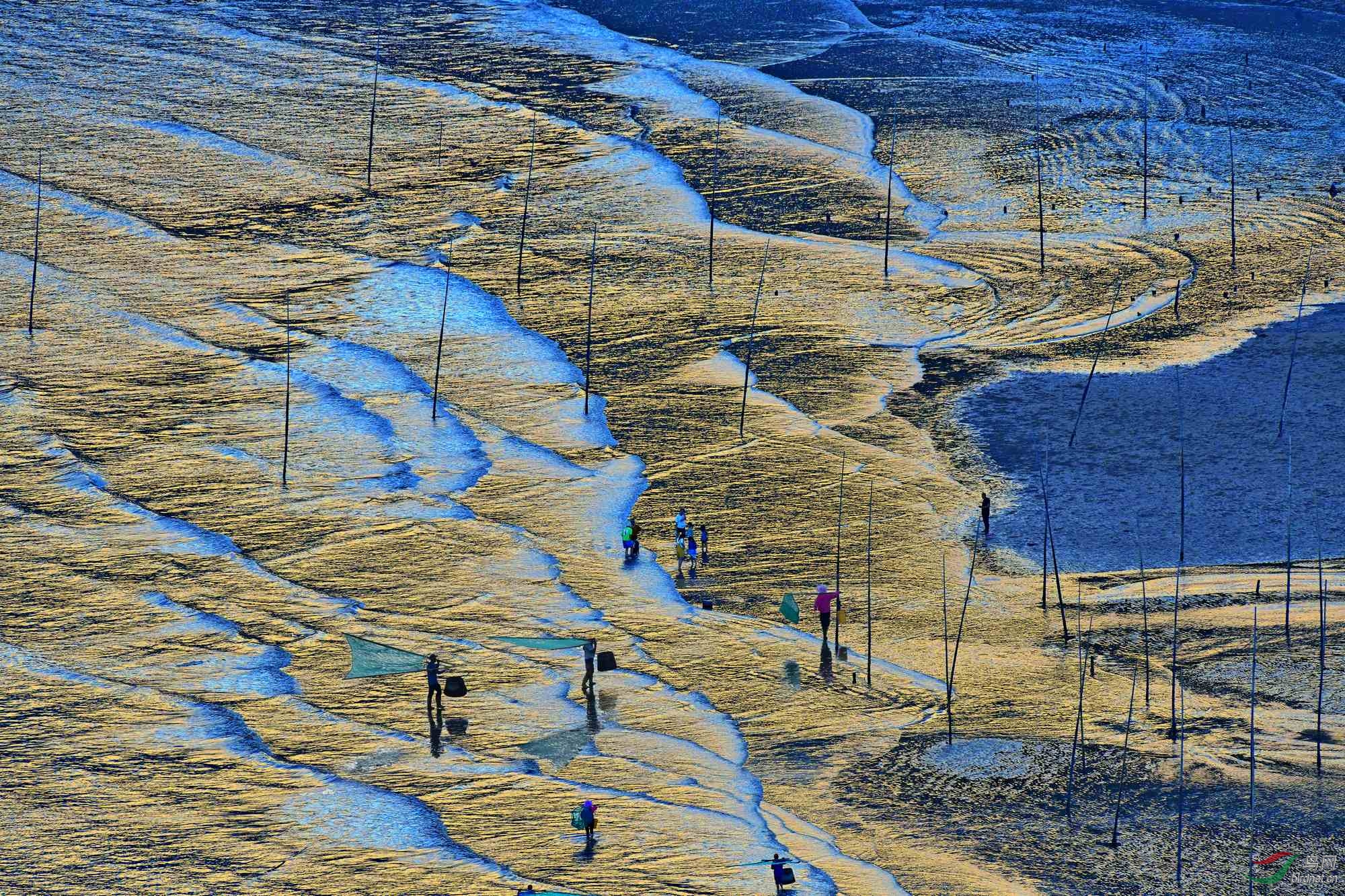 滩涂《荣获首页精华》