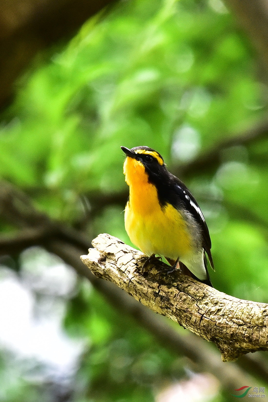 DSC_0725.JPG