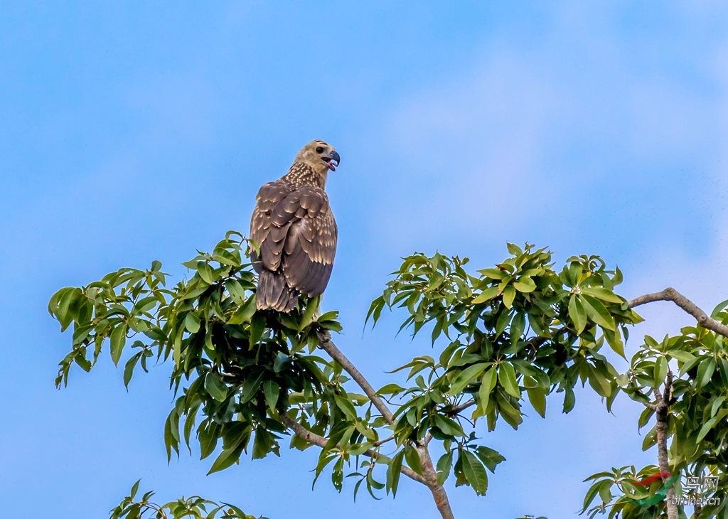 3S5A4648  01_����_����.jpg