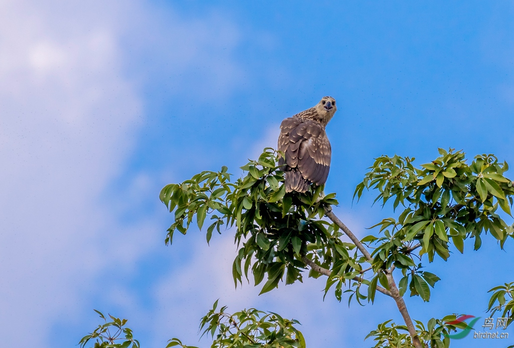 3S5A4654  01_����.jpg