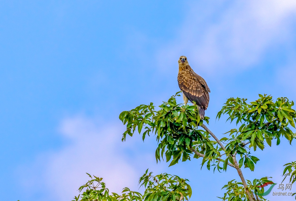 3S5A4677  01_����.jpg