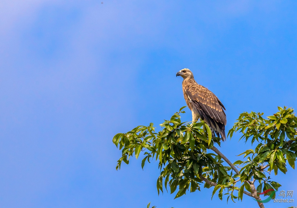 3S5A4683  01_����.jpg