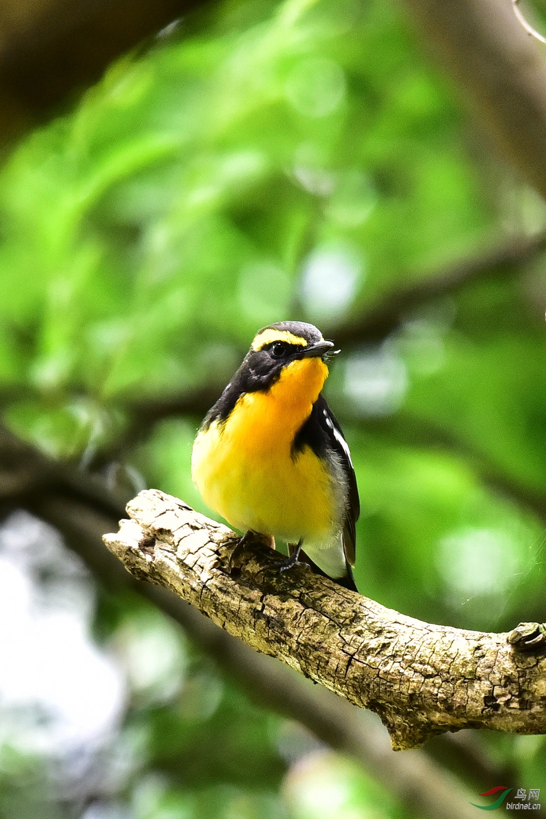 DSC_0730.JPG