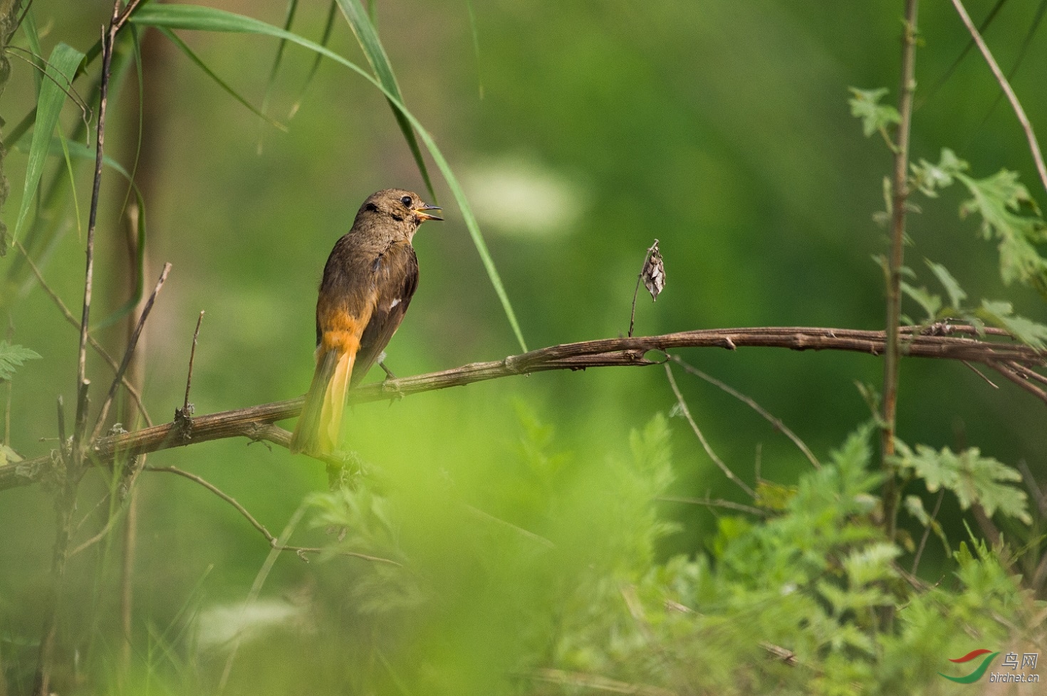 TJP_5757 - ����.jpg