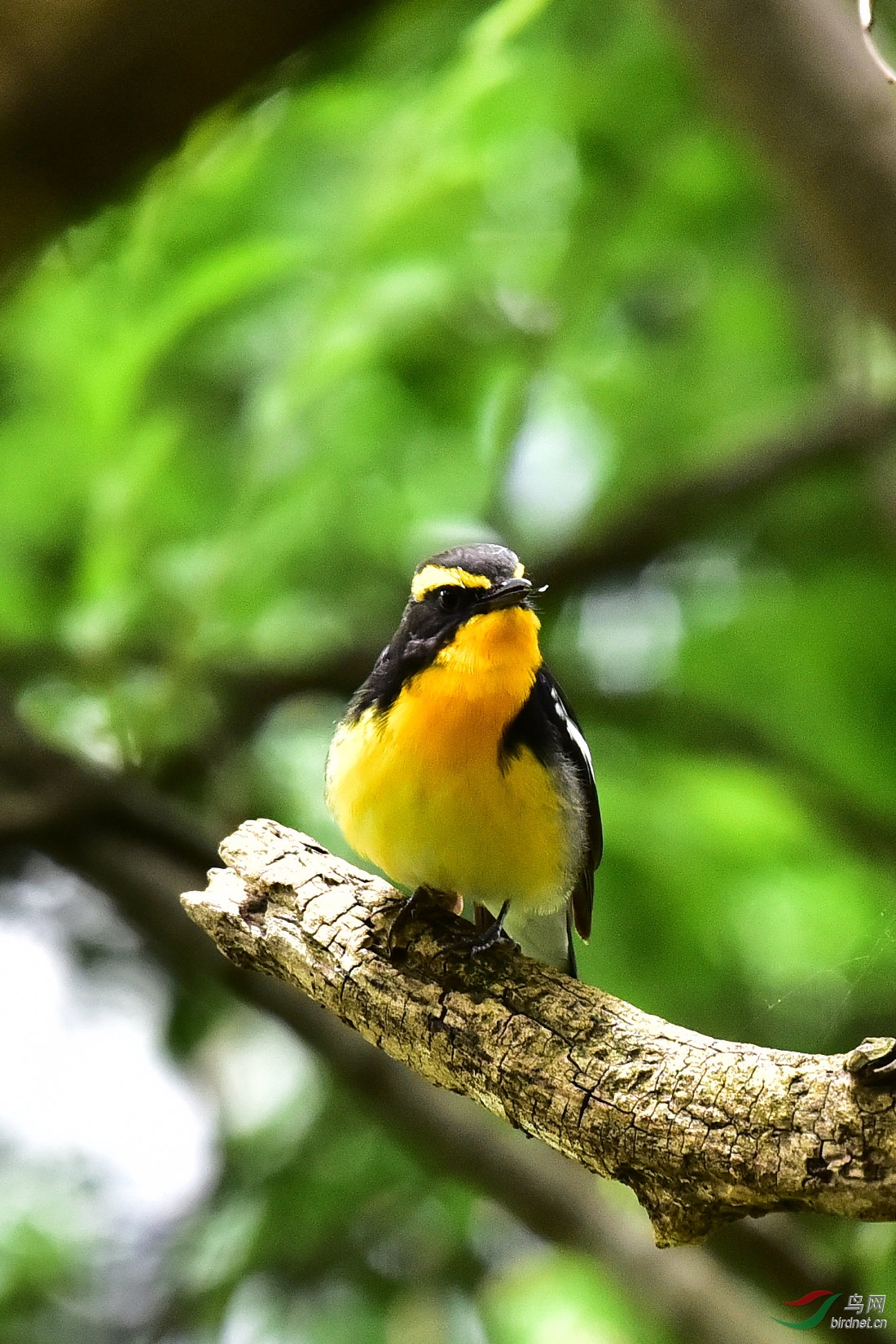 DSC_0731.JPG