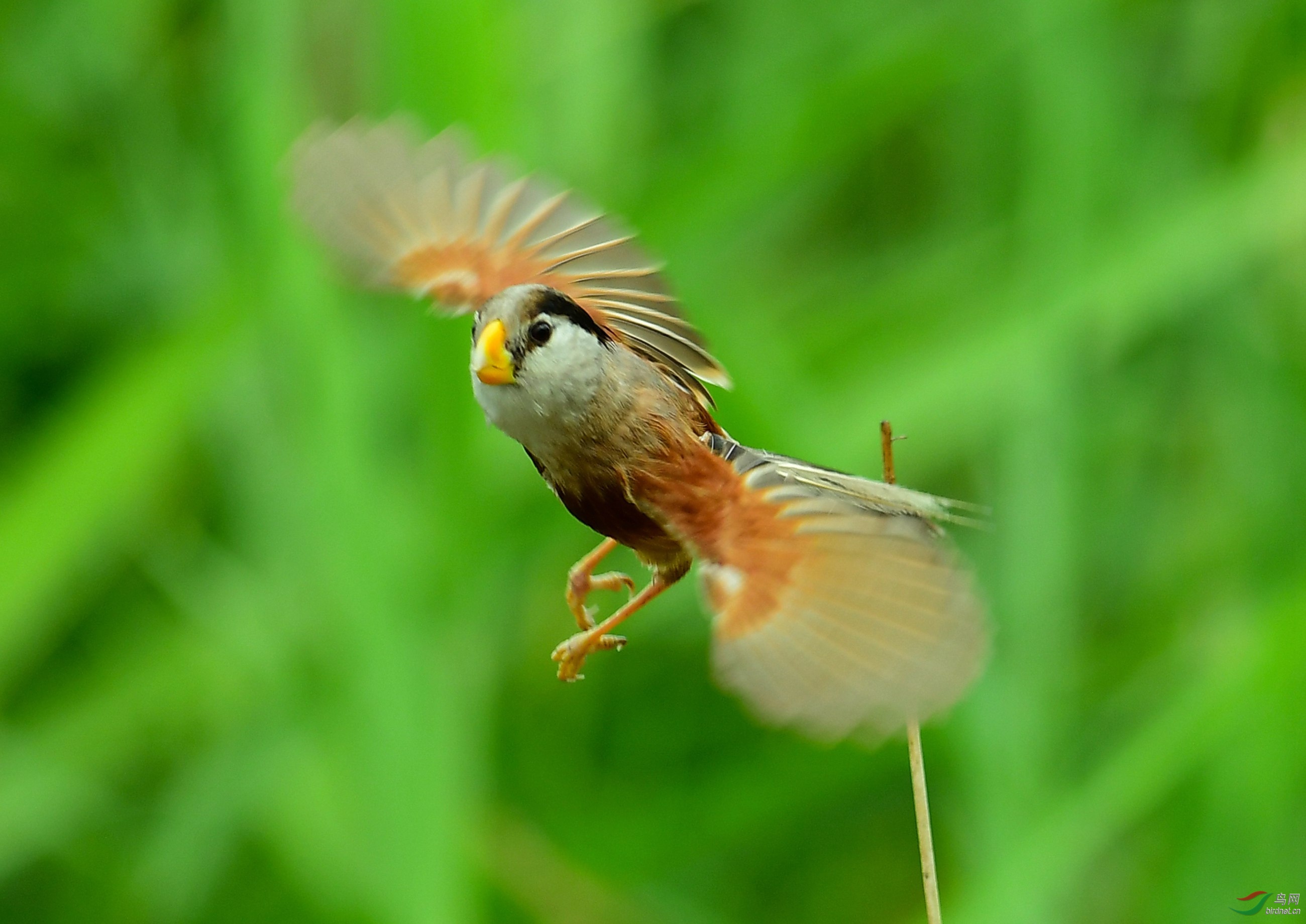 DSC_0982.JPG
