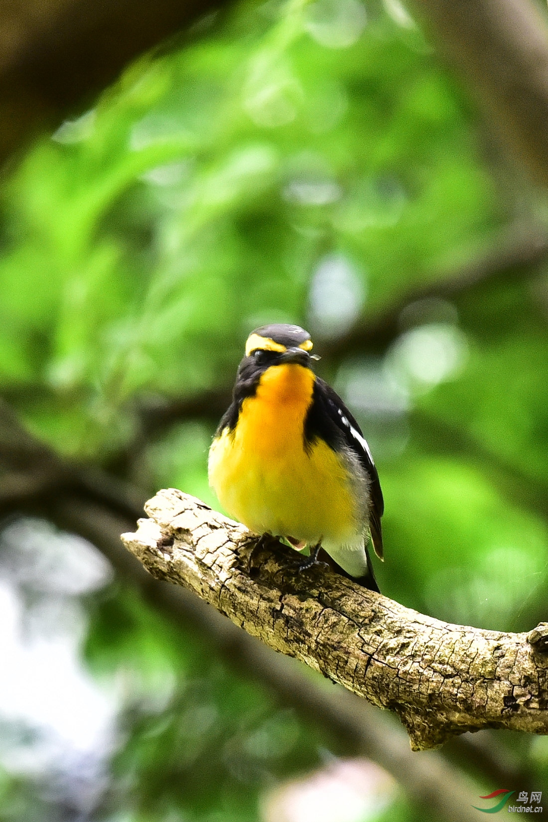 DSC_0733.JPG